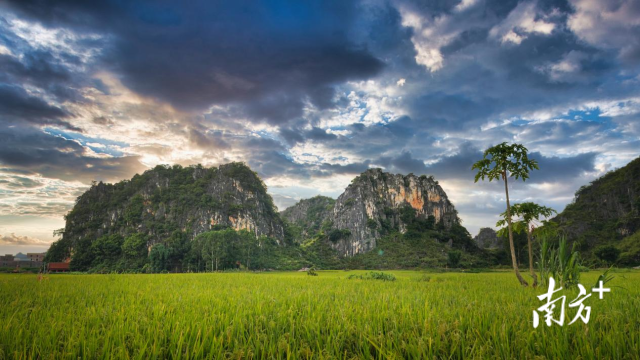 蘋塘喀斯特地貌。